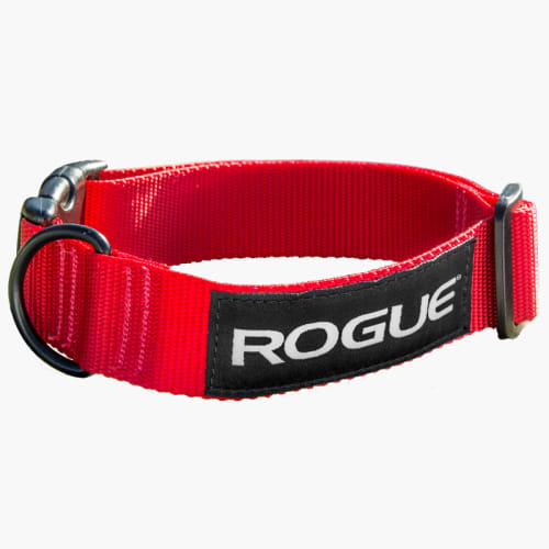 Rogue fitness dog collar shop